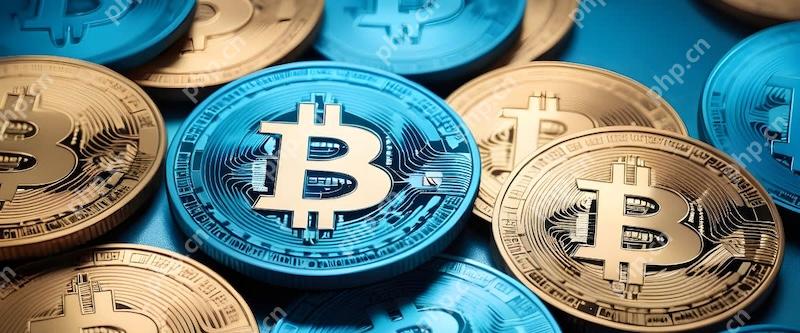 最新十大虚拟币交易平台排名 2025虚拟币交易平台app排行前十名 - php中文网